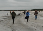 VWG vogelreis Oost Duitsland mei 2010 015